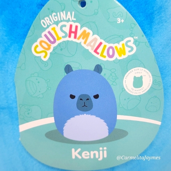 🎄 KENJI 💙 FTM Blue Christmas Capybara Original Squishmallow ☆ NWT ☆ - Picture 3 of 8